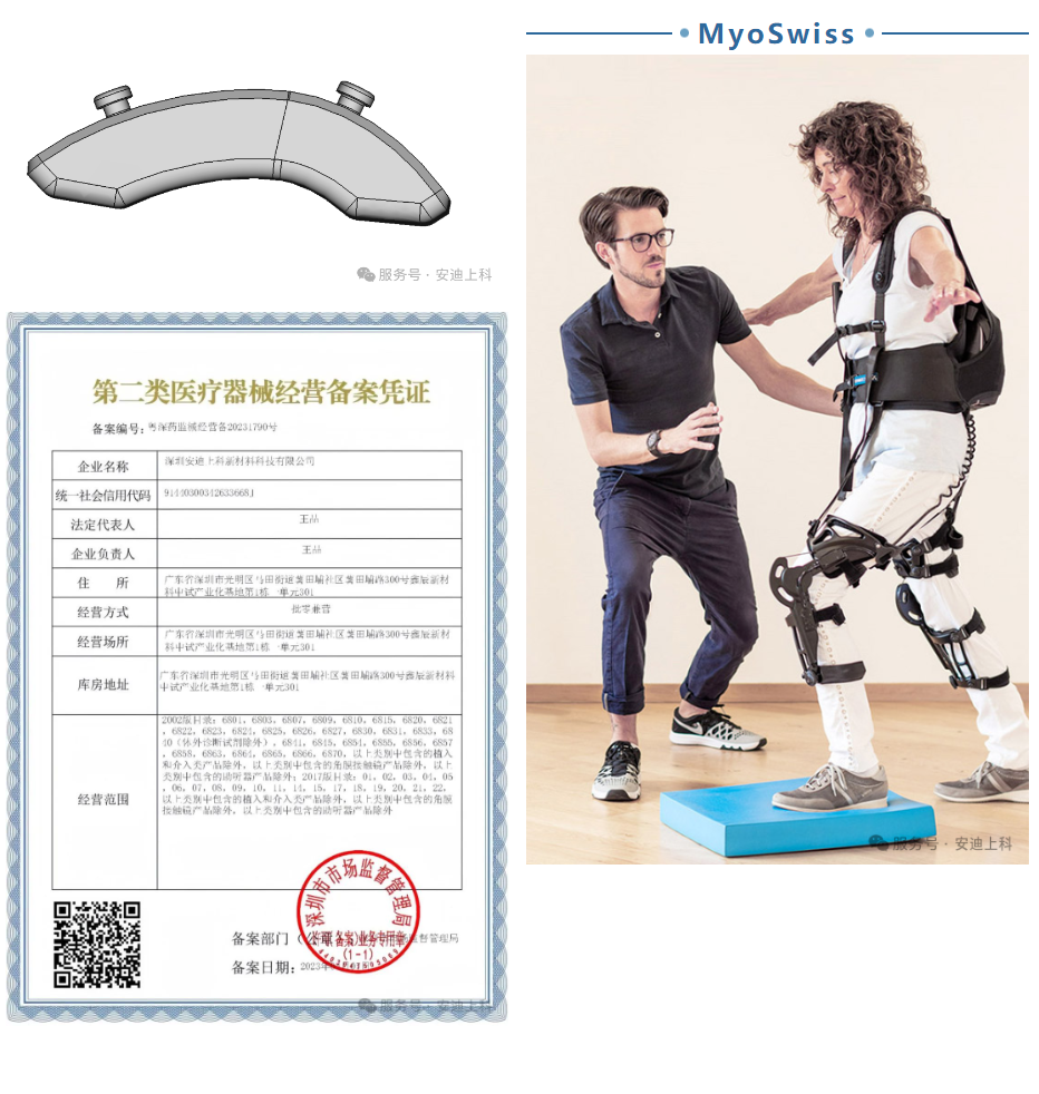 【科研突破】安迪携手南方医科大揭秘骨再生关键机制