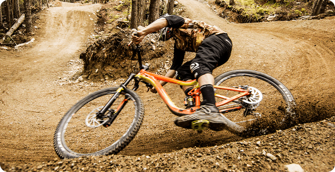 文化： 我们信赖品牌，我们保护质量